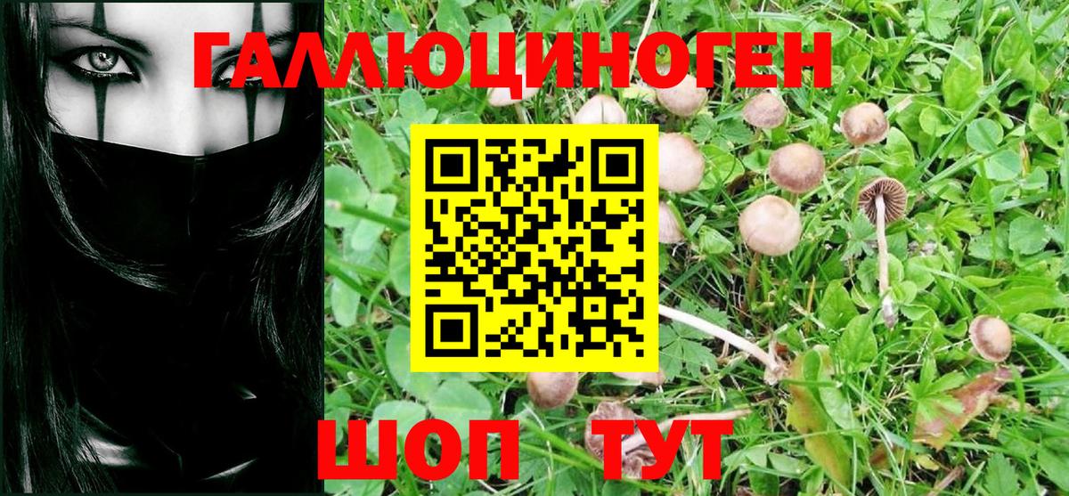 Галлюциногенные грибы Cubensis  Вход с VPN  Полевской 