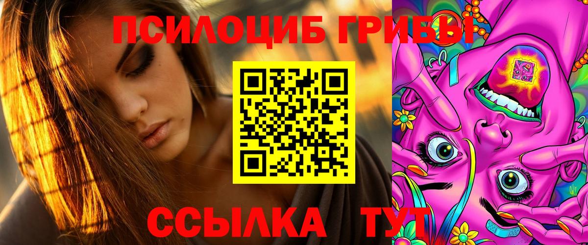 Псилоцибиновые грибы Psilocybe Полевской